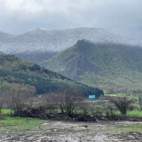 زمین مسکونی پلاک یک جنگل