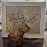 مجسمه فیل و قاب عکس
