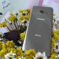سامسونگ گلگسی S8  حافظه ۶۴ گیگ در حد نو