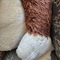 عروسک گوریل|اسباببازی|شاهینشهر, فردوسی|دیوار