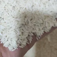 پخش مستقیم برنج هاشمی با ضمانت مرجوعی بدون واسطه