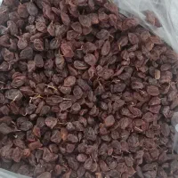 کشمش افتابی|خوردنی و آشامیدنی|شهرکرد, |دیوار