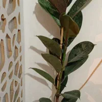 ح ر ا ج|حراج|خرم‌آباد, |دیوار