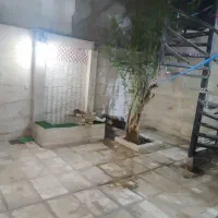 اجاره روزانه هفتگی آپارتمان ۵۰ متری در حرم مطهر|اجارهٔ کوتاه‌مدت آپارتمان و سوئیت|مشهد, حرم مطهر رضوی|دیوار