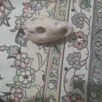 سنگ فسیلی ومرجانی|کلکسیون اشیاء عتیقه|اراک, |دیوار