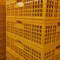 سلام راننده نیسان|استخدام حمل و نقل|شهریار, شهرک بهاران (ویره)|دیوار