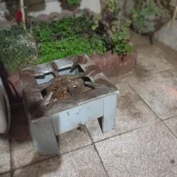 تک شعله کار کرده