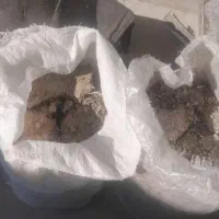 کود کفتر