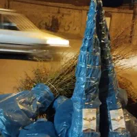 نهال تضمینی و با کیفیت|خدمات باغبانی و درختکاری|سنندج, |دیوار