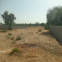 زمین