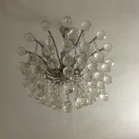 لوسترشش شاخه