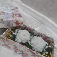 شمعدونی تابان