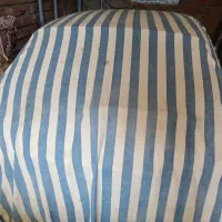 پژو 207 سفید tu5 مدل 1403|خودرو سواری و وانت|گرگان, |دیوار