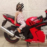 موتورسیکلت دایلیم ۲۵۰تیپ۲