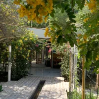 استخدام رستوران