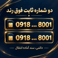 مناقصه فروش جفتی دو خط دائمی ۰۹۱۸ با پسوند یکسان