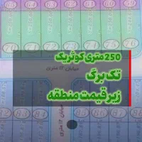 زمین250متری/تک برگ/کاسبی/زیر قیمت/کوثردانش