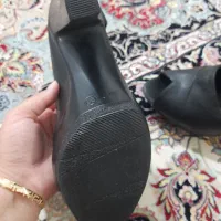 مجلسی|کیف، کفش، کمربند|سبزوار, قصبه غربی|دیوار