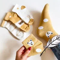 جوراب|لباس|اردل, |دیوار