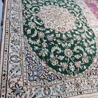 زرونیم نایین اصفهان گل ابریشم