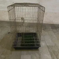 قفس