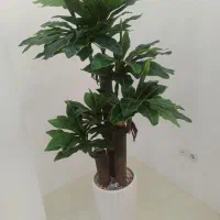 درخچه مصنوعی|گل مصنوعی|بندرعباس, |دیوار