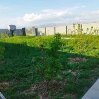 ۱۰۰۰مترباغ گوارشک۴ــ  باغ آماده وکالت محضری