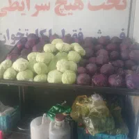دوعددپالت میوه سالم