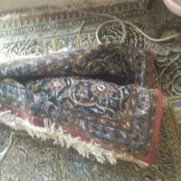 فرش کهنه|فرش|مرند, |دیوار