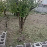 فروش زمین ۳۰۰ متری در بازار|فروش زمین و ملک کلنگی|رشت, بازار|دیوار