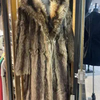 پالتو وارداتی