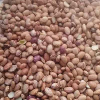 لوبیا|خوردنی و آشامیدنی|اراک, |دیوار
