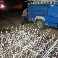 حفاظ شاخ گوزنی|خدمات پیشه و مهارت|اردبیل, |دیوار