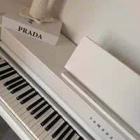 پیانو دیجیتال clp 835|پیانو، کیبورد، آکاردئون|کیش, |دیوار