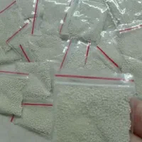 پودرشپش