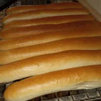 استخدام نیروی آقا