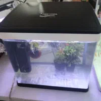 آکواریوم k 320 دلسا