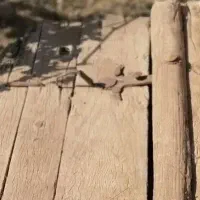 درب چوبی قدیمی وباستانی