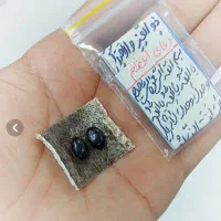 موکل دار کردن انگشتر و امورات دیگر درخدمتم