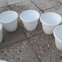 گلدان پلاستیکی محکم وسالم وتمیز در حد نو|گل و گیاه طبیعی|ری, شهرک نظامی|دیوار