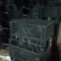 سبد پلاستیکی