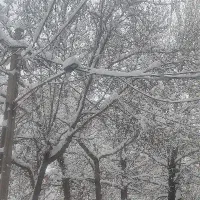 فروش زمین 3 هزار متری میگون نو