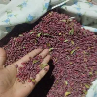 زرشک باد کش|خوردنی و آشامیدنی|مود, |دیوار