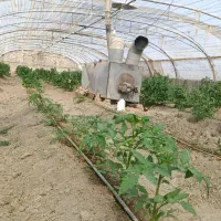 کارگر برای گلخانه|استخدام سرایداری و نظافت|خمک, |دیوار