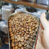 دان قهوه /فول کافین/هات چاکلت/کاپوچینو/ماسالا