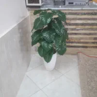 گل مصنوعی نو