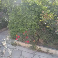 18-متر