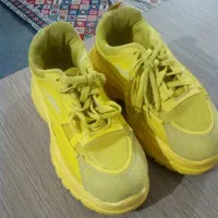 پوشاک|لباس|پاکدشت, پاکدشت (مامازند)|دیوار