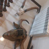 مجسمه دیواری