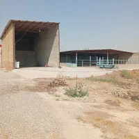 سالن کارگاه سوله گاوداری دامداری سند دار|فروش دفتر صنعتی، کشاورزی، تجاری|رباط‌کریم, رباط‌کریم|دیوار